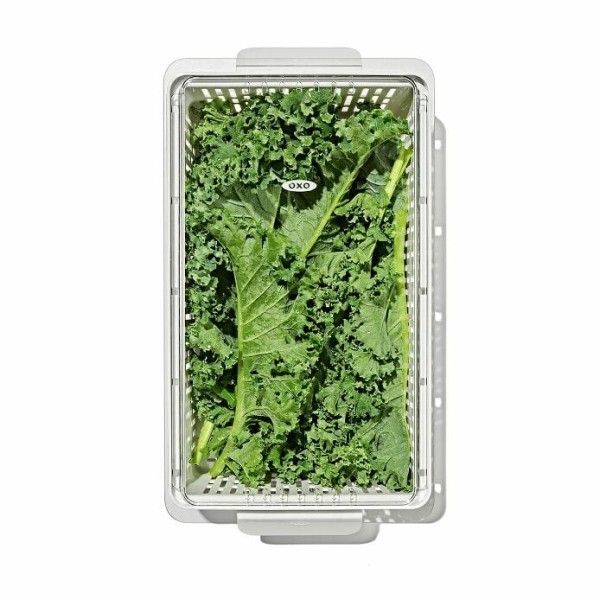 OXO-Produce-Saver-Medium-4