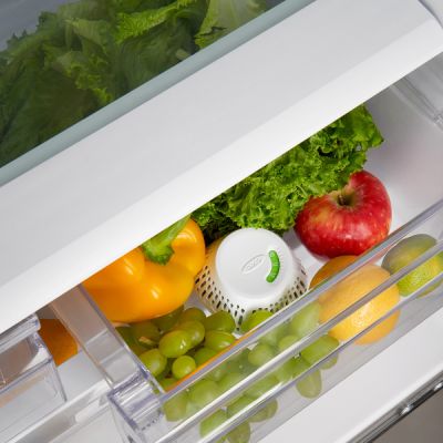 OXO-GREENSAVER--Crisper-Insert-2
