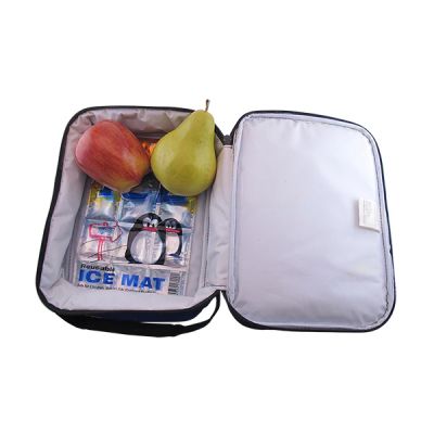 Icy-Cools-Lunch-Box-Reusable-Ice-Mat-6x8in