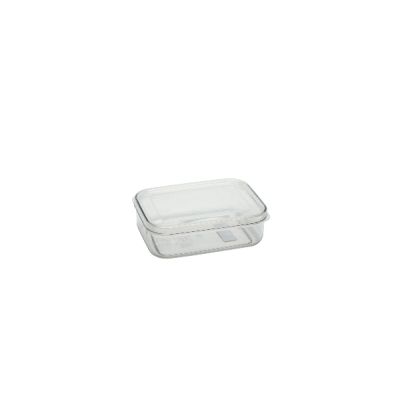 Crystal Clear Rectangle 21oz - 620 ml