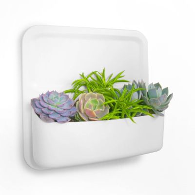 Perch-Stumpy---Magnetic-Container-2