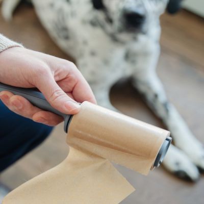 CLEAN-OCEAN-Lint-Roller-3Pk-1