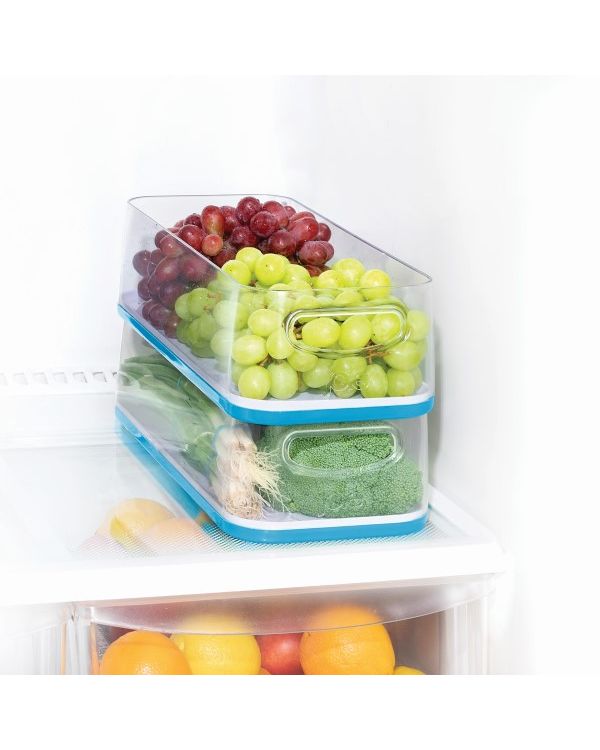 Neat Fridge Bin